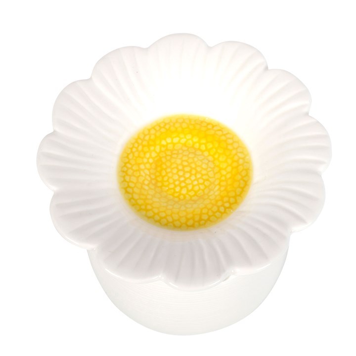 Daisy Oil Burner
